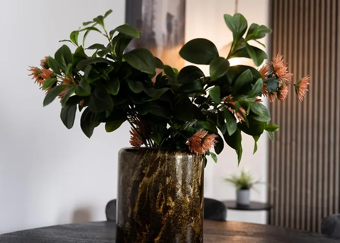 Junik Im Stadtzentrum * Duisburg